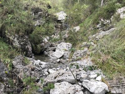 l'unico punto acqua della percorrenza