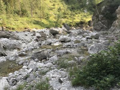 Decorso nel letto del torrente de li Pales