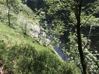 il sentiero si alza decisamente sulla gola del torrente