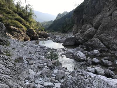 Decorso nel letto del torrente de li Pales