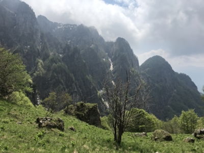 prato alpino poco prima di arrivo a forcella Giaveid