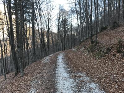 Mulattiera posteriore del monte Jouf da forcella Palabarzana