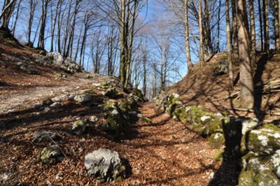 Forcella Croce