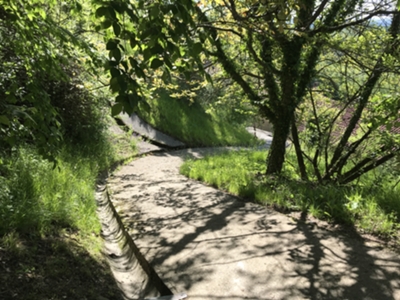 accesso al sentiero troi dai bosc di Tonei